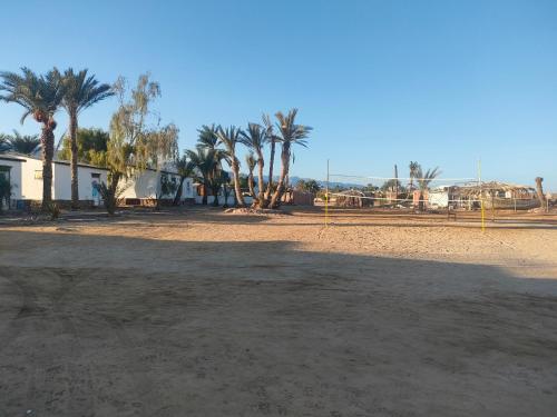 Imagen de la habitación del Hotel OASIS Resort. Foto 19