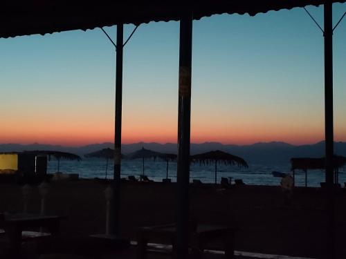 Imagen general del Hotel OASIS Resort. Foto 8