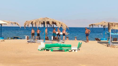 Imagen general del Hotel OASIS Resort. Foto 13