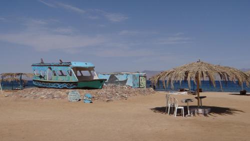 Imagen general del Hotel OASIS Resort. Foto 16