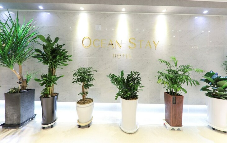 Imagen general del Hotel OCEANSTAY HOTEL Suyeong-Gu. Foto 1
