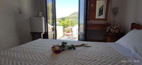 Imagen general del Hotel ODYSSEAS HOTEL SAMOS. Foto 7