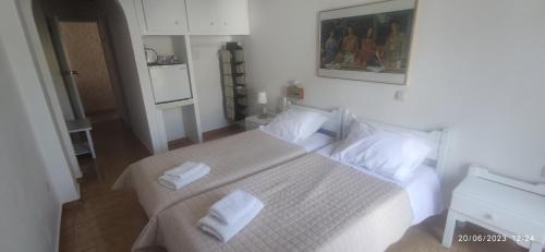Imagen general del Hotel ODYSSEAS HOTEL SAMOS. Foto 12