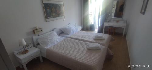 Imagen general del Hotel ODYSSEAS HOTEL SAMOS. Foto 15