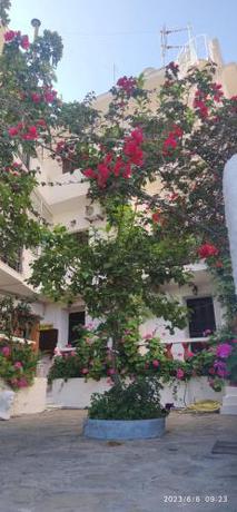 Imagen general del Hotel ODYSSEAS HOTEL SAMOS. Foto 18