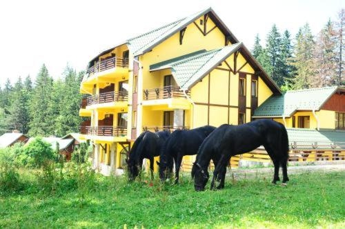 Imagen general del Hotel OHMA - Casa Viorel. Foto 5