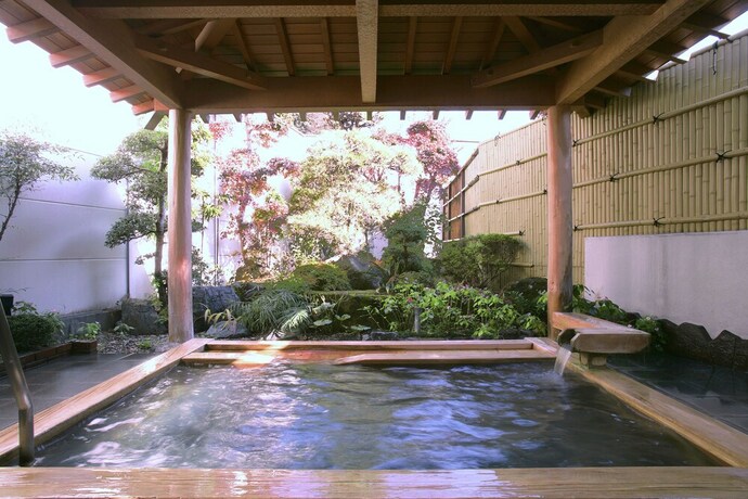 Imagen general del Hotel OJIKASOU. Foto 2