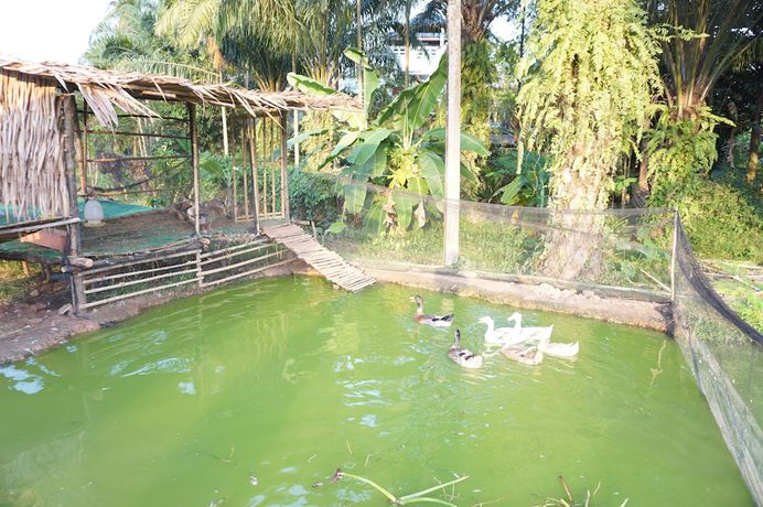 Imagen de los exteriores del Hotel OK, Mueang Chumphon. Foto 18