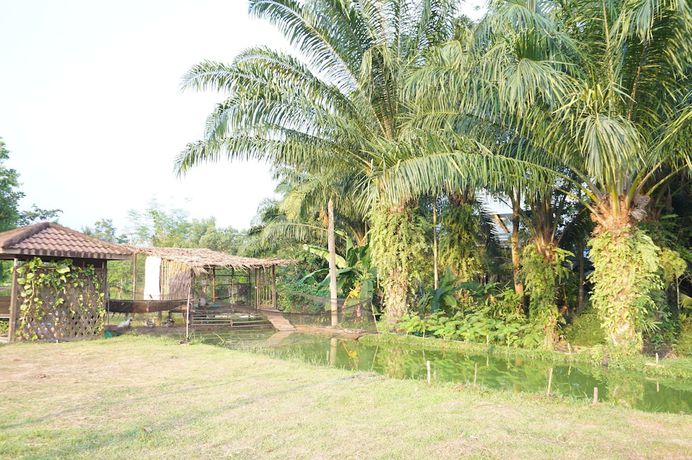 Imagen de los exteriores del Hotel OK, Mueang Chumphon. Foto 19