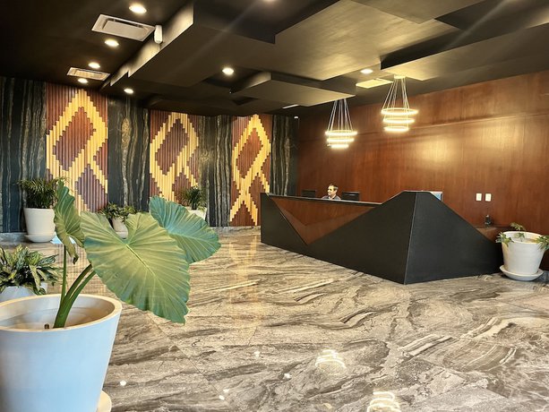 Imagen de los interiores del Hotel OLSON Real Acueducto and Suites. Foto 19