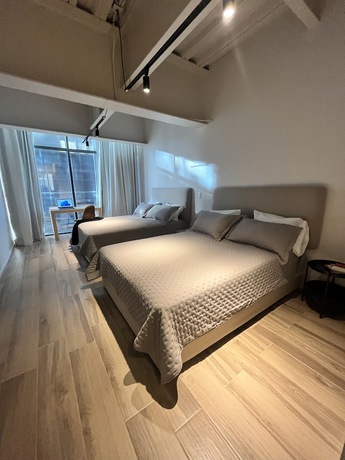 Imagen de la habitación del Hotel OLSON Real Acueducto and Suites. Foto 11