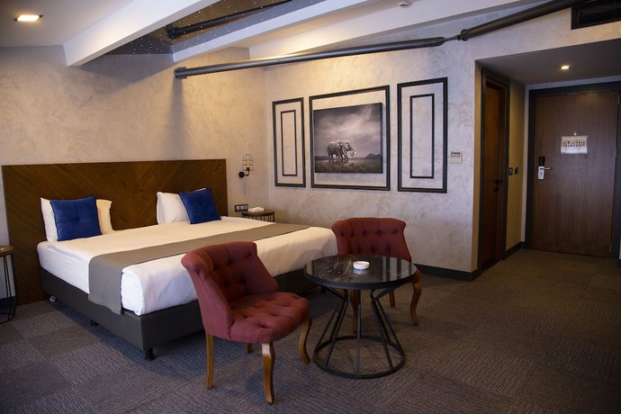 Imagen de la habitación del Hotel ON7 Sakarya. Foto 6