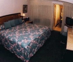 Imagen de la habitación del Hotel OPERA HOTEL. Foto 8