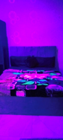 Imagen de la habitación del Hotel ORS Guest House Ayodhya. Foto 5