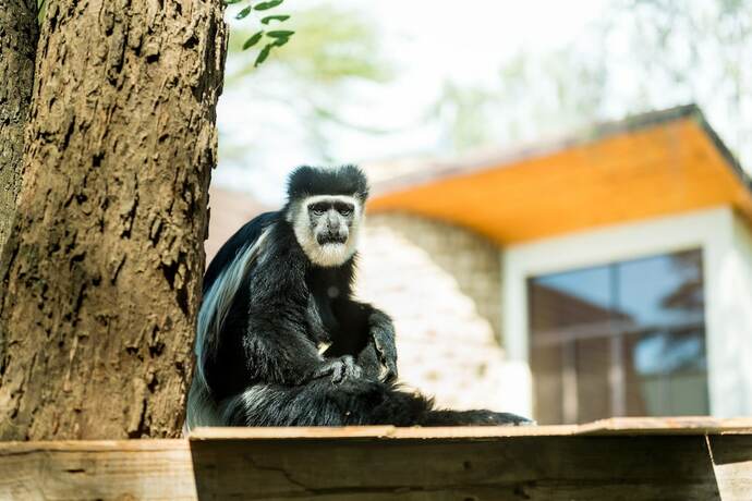 Imagen general del Hotel OSOTUA LUXURY RESORT. Foto 6