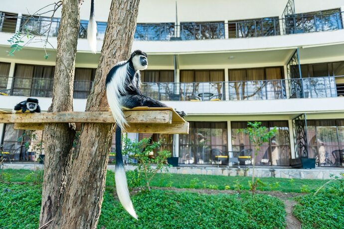 Imagen general del Hotel OSOTUA LUXURY RESORT. Foto 7