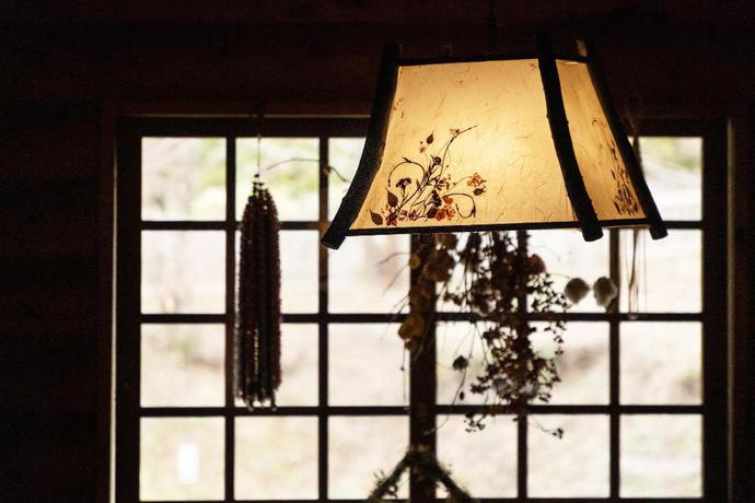 Imagen de los interiores del Hotel OTA ONSEN HANAGOKORO. Foto 9
