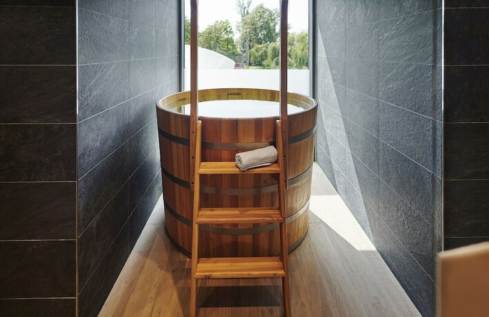 Imagen general del Hotel OTP Balatonszemes. Foto 14