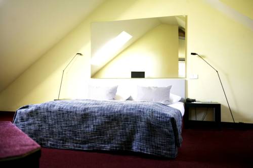 Imagen general del Hotel OTTHEINRICH. Foto 4