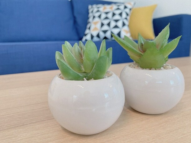 Imagen de la habitación del Hotel OUCHI Miyajimaguchi. Foto 34