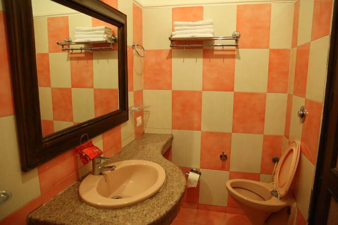 Imagen de la habitación del Hotel OYO 1133 City Park Plaza. Foto 9