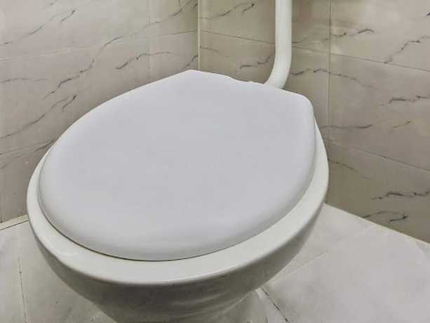 Imagen de la habitación del Hotel OYO 12364 Nishita Resorts. Foto 12