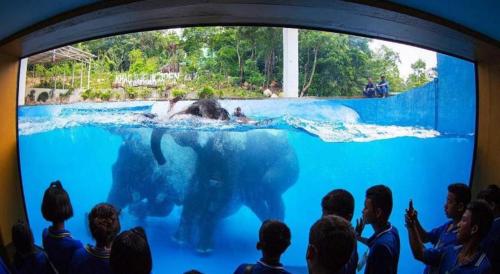 Imagen general del Hotel OYO 440 Season 5 Residence. Foto 17