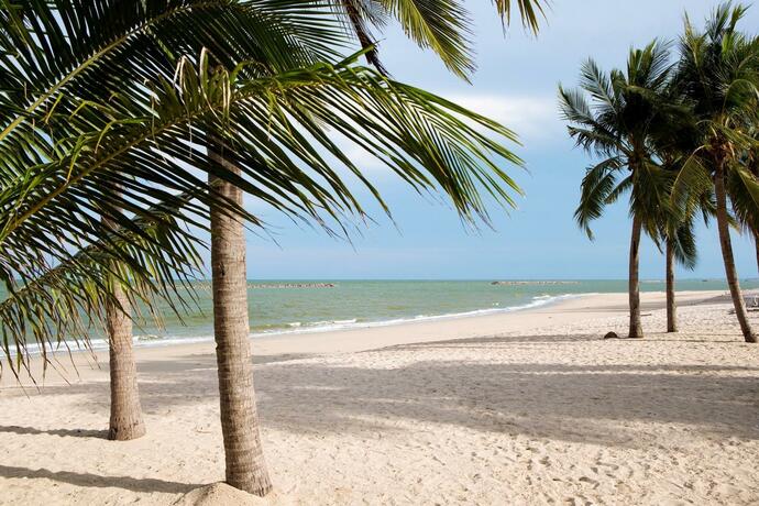 Imagen general del Hotel OYO 628 Dao Krajang. Foto 27