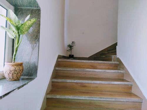 Imagen general del Hotel OYO 81120 RU And Banquet Hall. Foto 2