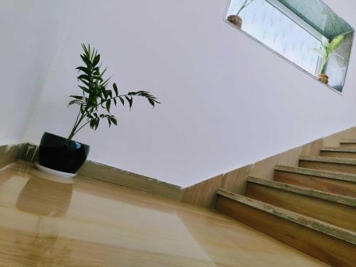 Imagen general del Hotel OYO 81120 RU And Banquet Hall. Foto 9