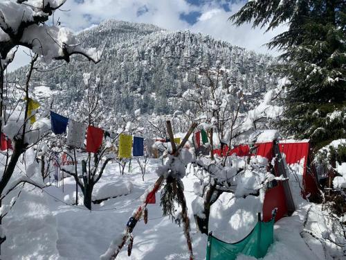 Imagen general del Hotel OYO 88688 Sky Garden Manali Cafe & Camp. Foto 10