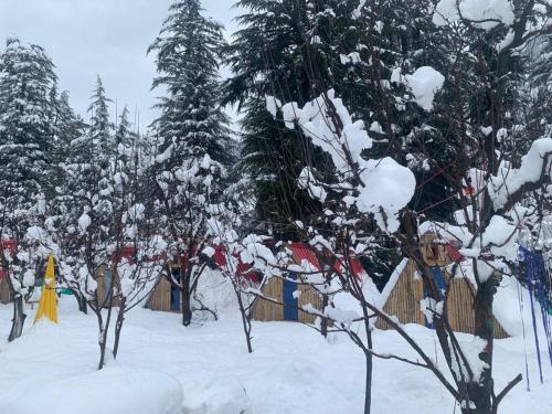 Imagen general del Hotel OYO 88688 Sky Garden Manali Cafe & Camp. Foto 11