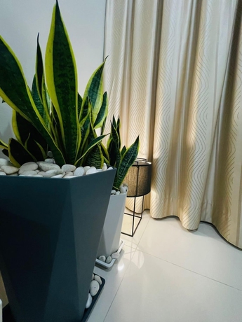 Imagen de los interiores del Hotel OYO 90928 Hi-homestay. Foto 10