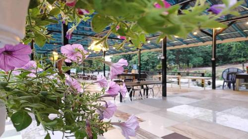 Imagen general del Hotel OYO 90993 Ulu River Lodge. Foto 14