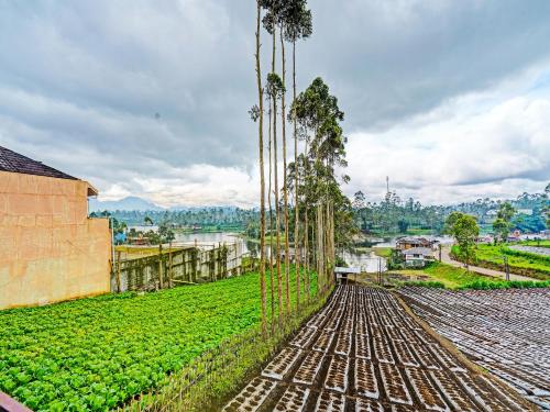 Imagen general del Hotel OYO 92217 Artana 2 Chipsari. Foto 13