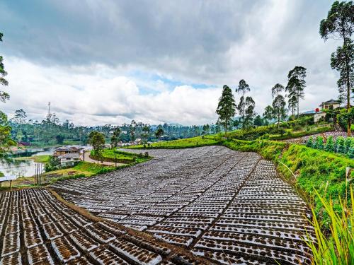 Imagen general del Hotel OYO 92217 Artana 2 Chipsari. Foto 15