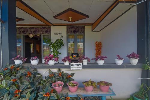Imagen general del Hotel OYO 92225 Filadelfia Resto & Penginapan. Foto 4