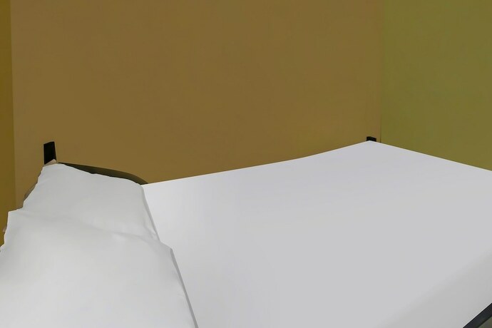 Imagen general del Hotel OYO 92308 Kos Duduk. Foto 4