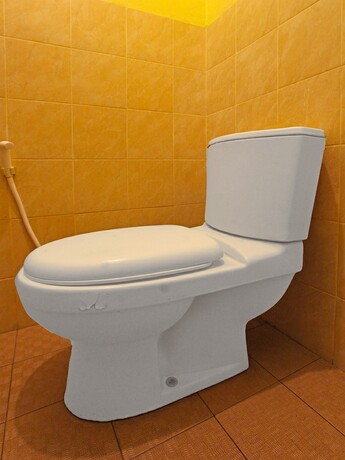 Imagen general del Hotel OYO 92308 Kos Duduk. Foto 13