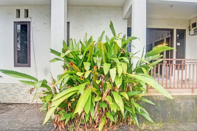 Imagen de los interiores del Hotel OYO 92964 Kost 99. Foto 15