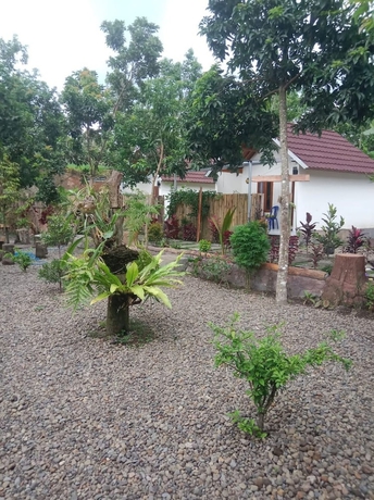 Imagen de los interiores del Hotel OYO 93627 Avocado Homestay. Foto 13