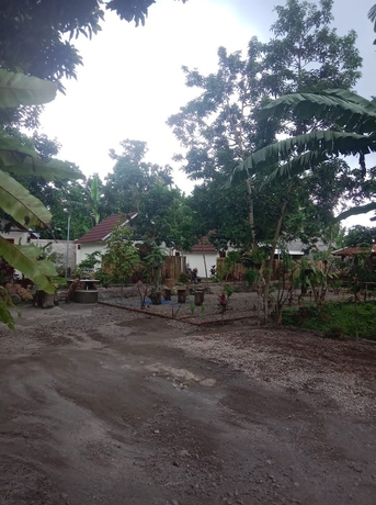 Imagen de los interiores del Hotel OYO 93627 Avocado Homestay. Foto 16
