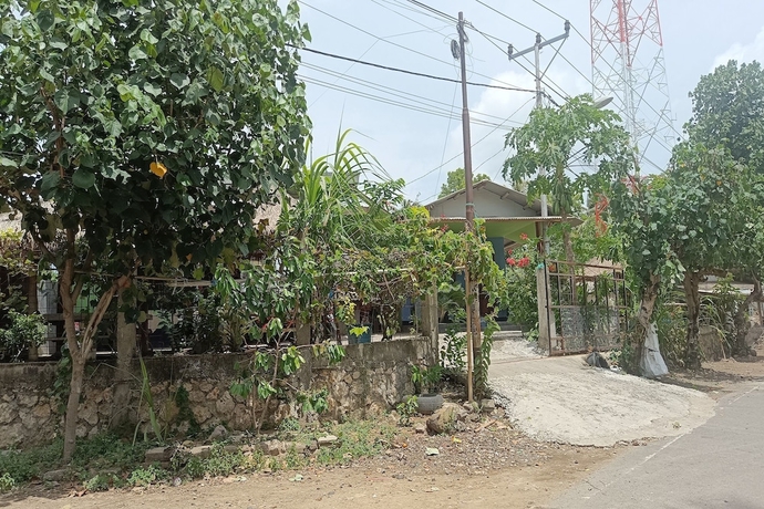 Imagen de los interiores del Hotel OYO 93638 Lotus Guest House. Foto 11