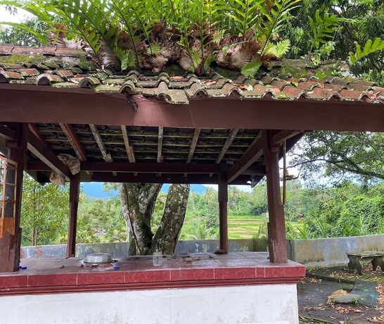 Imagen de los interiores del Hotel OYO 93638 Lotus Guest House. Foto 19