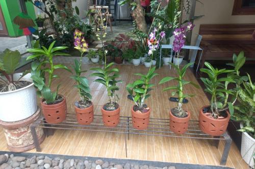 Imagen general del Hotel OYO 93892 Homestay Koe Syariah. Foto 14