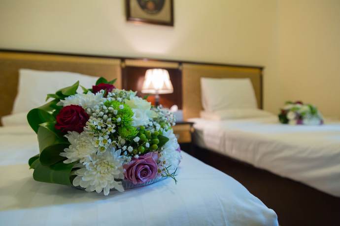 Imagen de la habitación del Hotel OYO Dream Palace. Foto 10