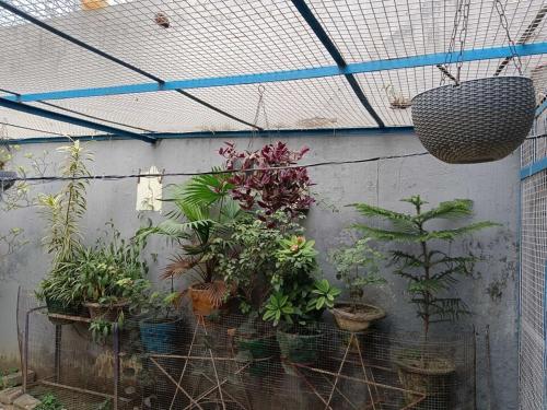 Imagen general del Hotel OYO Home Mahadev Sadan Guest House. Foto 3