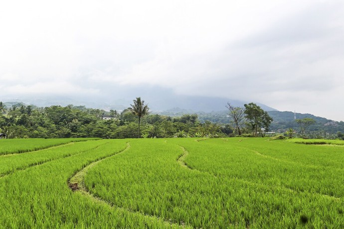 Imagen de los interiores del Hotel OYO Homes 91151 Desa Wisata Kreatif Perdamaian Srumbung Gunung. Foto 15
