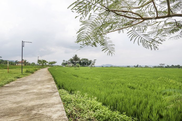 Imagen de los interiores del Hotel OYO Homes 91151 Desa Wisata Kreatif Perdamaian Srumbung Gunung. Foto 16