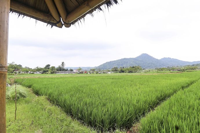 Imagen de los interiores del Hotel OYO Homes 91151 Desa Wisata Kreatif Perdamaian Srumbung Gunung. Foto 20
